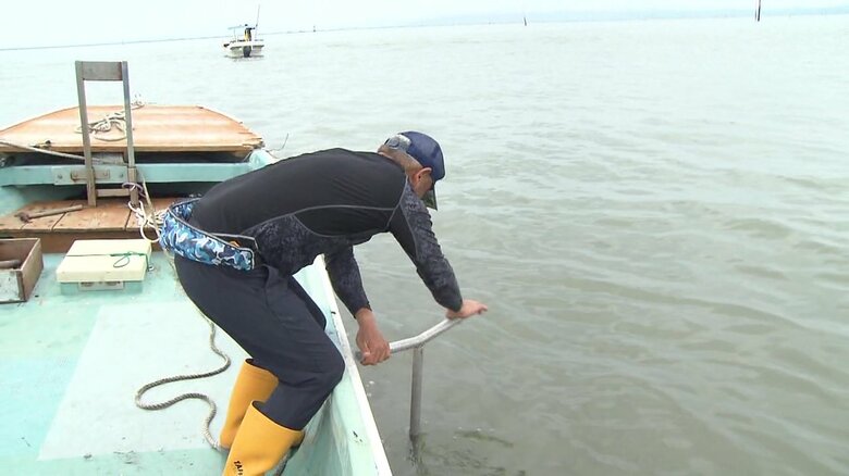 先端に付いた金具にウミタケの水管を絡ませる