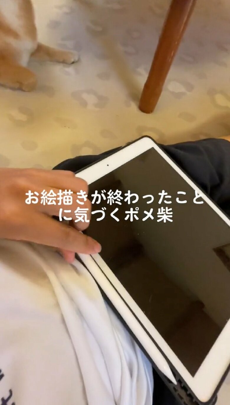 飼い主さんが続けて端末のペンをカチッとしまうと…