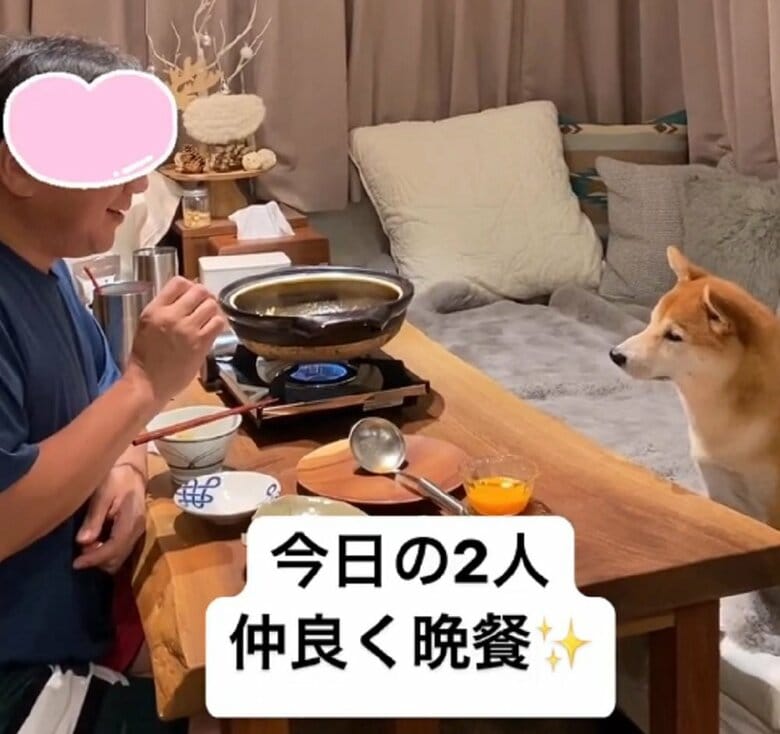 一緒に仲良く晩餐