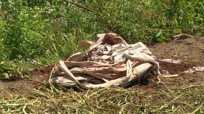 肥料が入っていた袋は裂かれた状態に