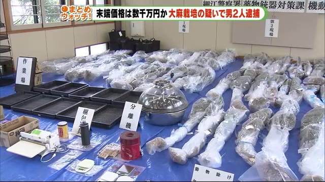 山林で無断で大麻を栽培か 男2人を逮捕 末端価格は数千万円か 静岡・細江警察署