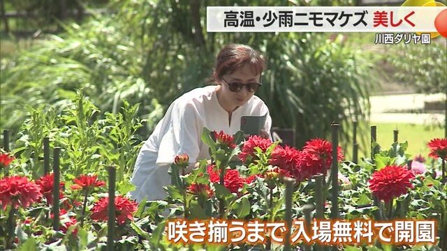 2025年は8月9日に開園