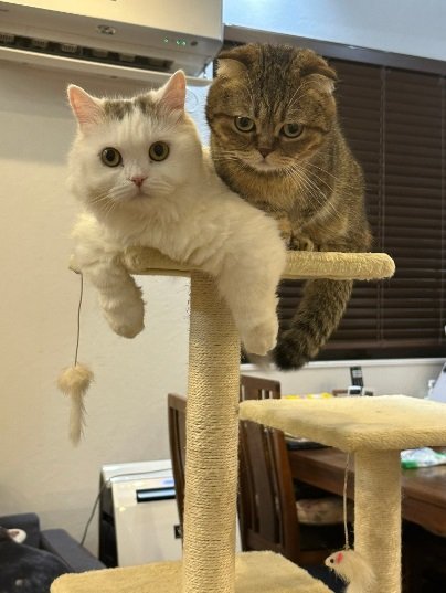 ふたりで“登頂成功”