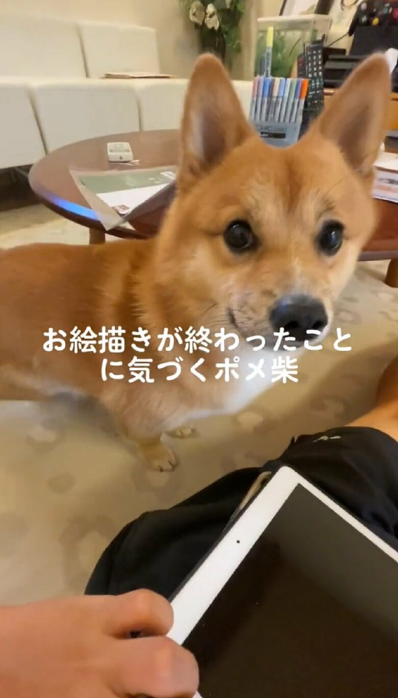 作業終わりを確認したのか飼い主さんのそばに来て…