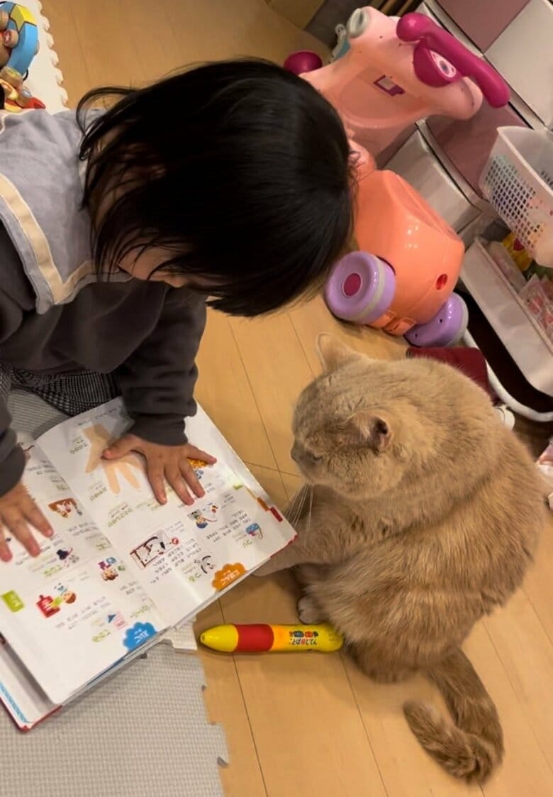 一緒に本を読んだりする仲良し