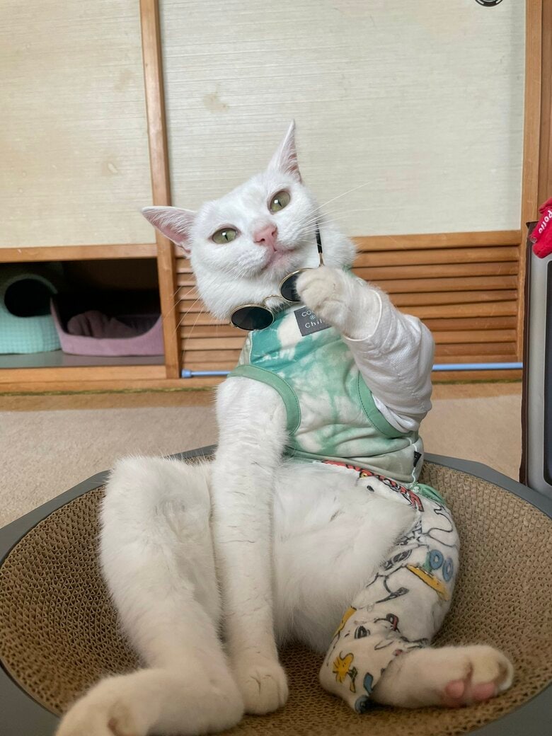 提供：しんばぷーさん