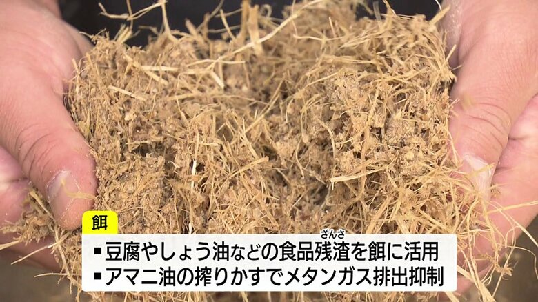 おからなどを配合したエサ