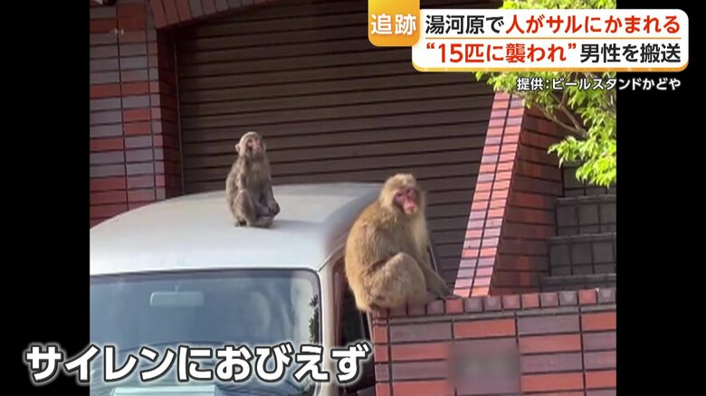 救急車のサイレンにもおびえず