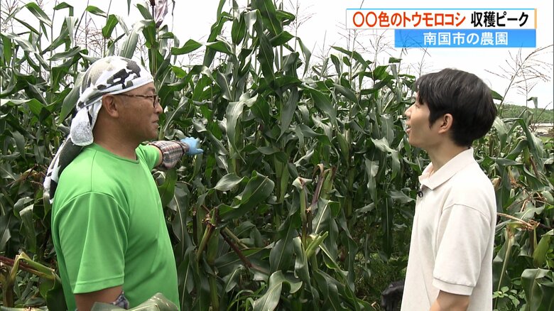 「農園けんぴ」代表・伊尾木健さん（左）