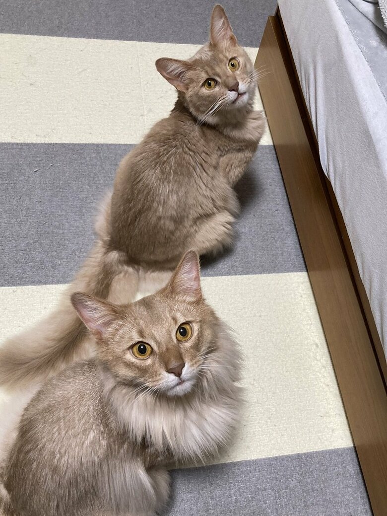 上：颯くん　下：凪くん