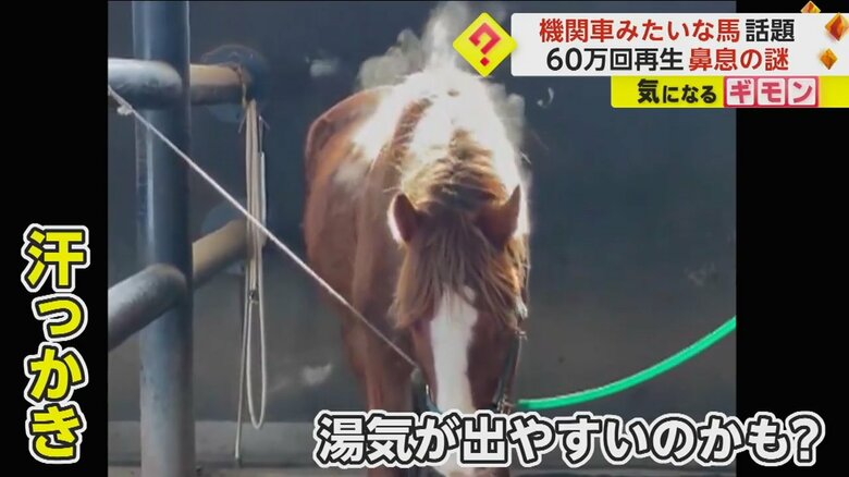 （うらかわ優駿ビレッジAERU）