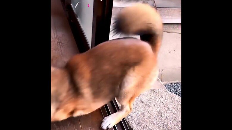 家の段差を乗り越える様子　その3