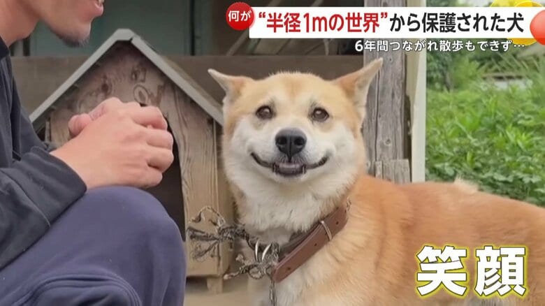 打ち解けるとリラックスした表情を見せたジョン（映像提供：あにまるず Animals）