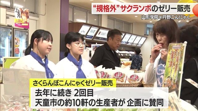 春先の天候不良で2025年のサクランボ収量は落ち込むと見られる中、農家の協力があった