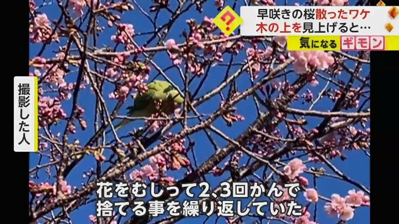 （FNN投稿サイト「ビデオPost」）