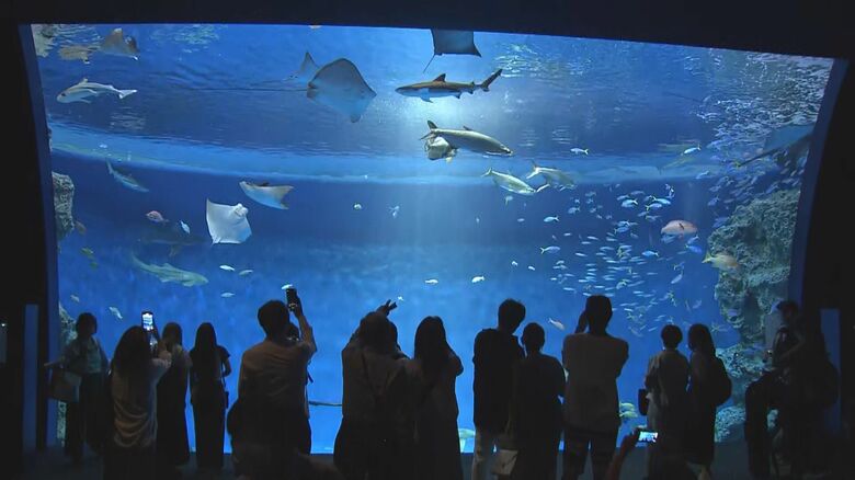 約560種類・1万9000点の「生きもの」を展示