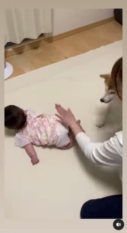 また、お尻ペンペン（提供：SORAさん）