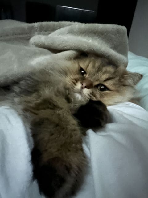 提供：ひなたさん