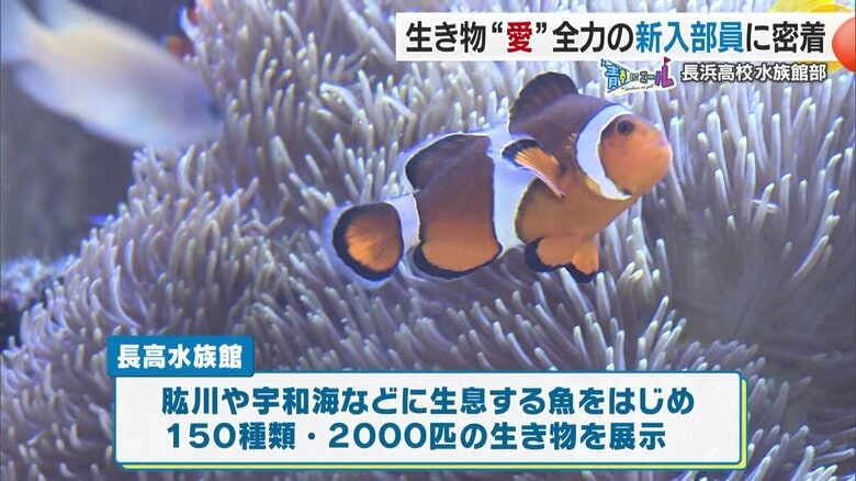 部員たちが伝える「おもてなし」