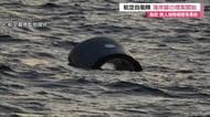 鳥取沖に墜落した航空自衛隊無人偵察機「グローバルホーク」　海岸線での機体の捜索始まる