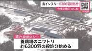 【今季3例目】鳥インフルで約6300羽殺処分…道内の卵を産むニワトリの約0.1％→卵の流通に問題なし「卵や鶏肉は安全」鈴木知事は冷静な行動呼びかけ〈北海道由仁町〉