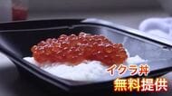 【秋の味覚イクラ丼を無料で提供！】羅臼町特産のイクラ丼－無料提供に朝6時半から長蛇の列！知床らうす産業祭「羅・来・楽」…秋サケのつかみ取りも小中学生でにぎわう〈北海道羅臼町〉