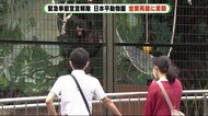 「動物を見て癒やされて」宣言解除で日本平動物園も営業再開 静岡市