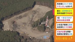 富士山の麓に土砂埋め立てた疑いで逮捕の社長 森林法違反で再逮捕 静岡・富士市