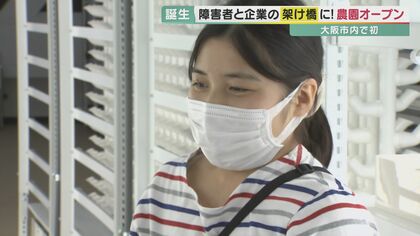 雇用期限なく収入もアップ　障害者が“安心安全”に働ける農園オープン…企業と障害者の架け橋に【大阪発】