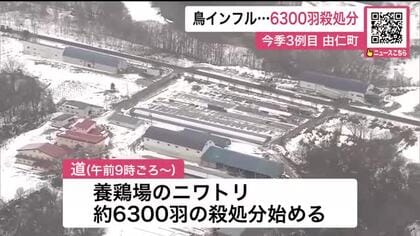 【今季3例目】鳥インフルで約6300羽殺処分…道内の卵を産むニワトリの約0.1％→卵の流通に問題なし「卵や鶏肉は安全」鈴木知事は冷静な行動呼びかけ〈北海道由仁町〉
