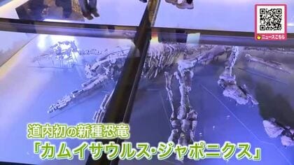 【北海道で初】恐竜博物館が誕生！目玉は新種「カムイサウルス・ジャポニクス（むかわ竜）」全長約8mの”実物全身骨格化石”石破・前総理も大満足〈北海道むかわ町〉