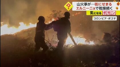 山火事現場からモグラの赤ちゃん救出　街にせまる炎…エルニーニョ現象で乾燥続く　コロンビア