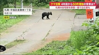 「怖い…」クマが住宅街で座り込む…相次ぐ目撃情報　急増の背景と注意ポイントは【北海道発】