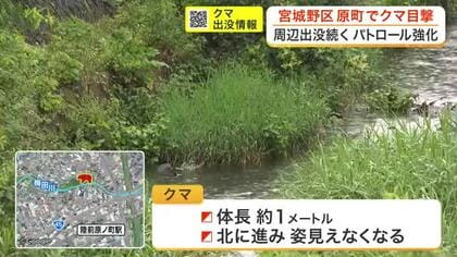 宮城野区原町でクマ目撃　出没相次ぎ警察がパトロール強化〈宮城・仙台市〉