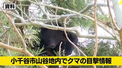 【クマ目撃情報】新潟・小千谷市でクマ1頭を目撃　民家や高速PAまで約130メートル