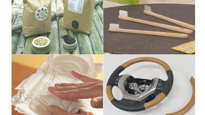 社会問題の竹害を“竹財”に…無限の可能性を秘めた「竹」資源として活かす取り組み続く 炭から歯ブラシまで