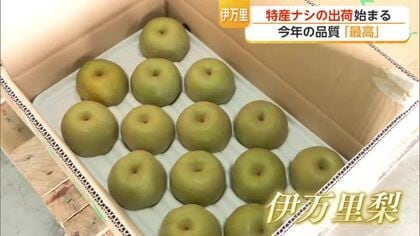 「品質は最高」伊万里梨の出荷始まる　今年は2000トン・13億円目標【佐賀県】