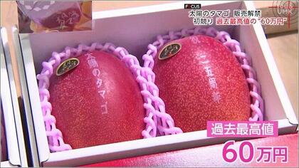 「日本一いいものだと証明したい」宮崎完熟マンゴー「太陽のタマゴ」が過去最高値の60万円で落札！【宮崎発】