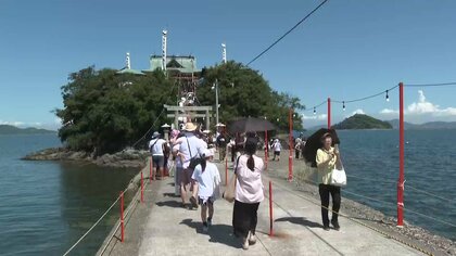 津嶋神社 ベビーカー 安い