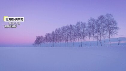 伐採された「シラカバ並木」背景にオーバーツーリズム “通行に支障