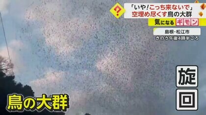 この地方では名の知れた、大型鳥籠。　　6-023 IMG_7596.jpg?v=1742992205