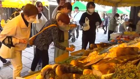 朝採れタケノコや葉ワサビ…春の味覚、味わって　大野の七間通りで「山菜フードピア」　26日も開催
