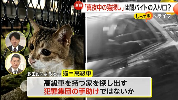 真夜中の猫探し」闇バイトの入り口か…即稼ぎ可の手軽さに落とし穴 運営