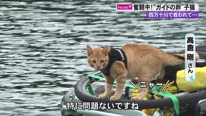 高倉さんの“お墨付き”をもらったチャビ