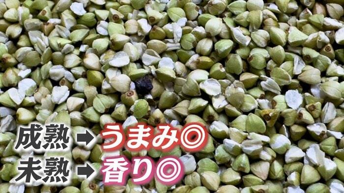 個体差が奥深い味わいに