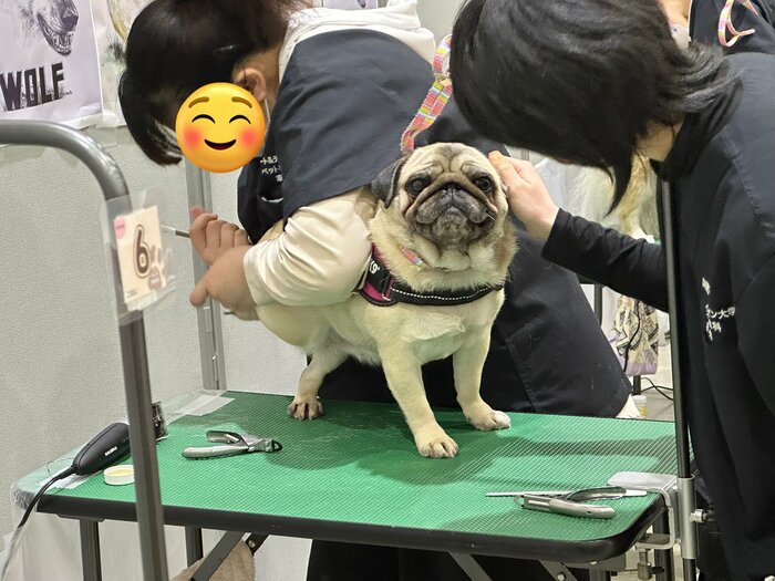 投稿の写真