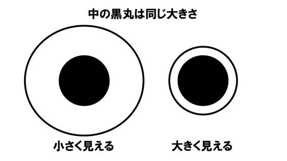 “デルブーフ錯視”の一例(画像提供:坂田頼彦さん)