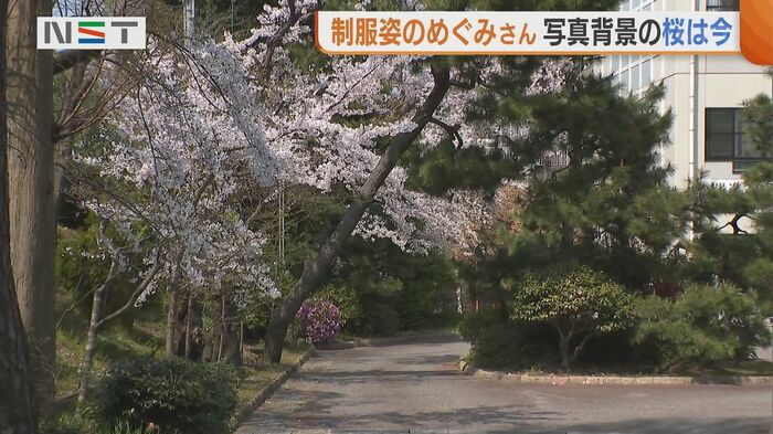 寄居中学校