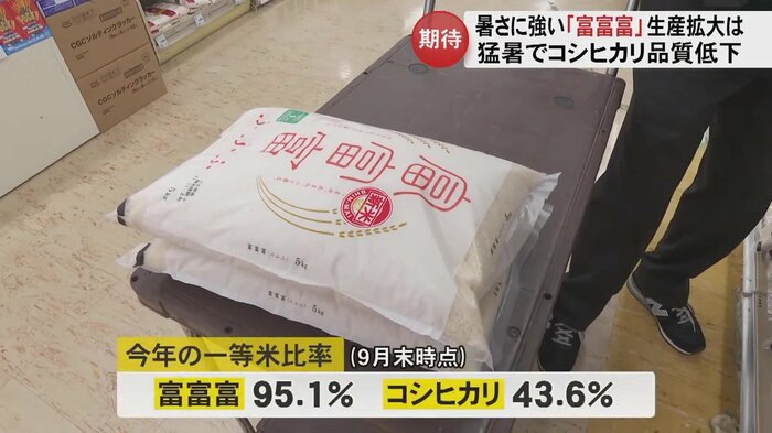 暑さの中「富富富」の2023年の一等米比率は95.1%