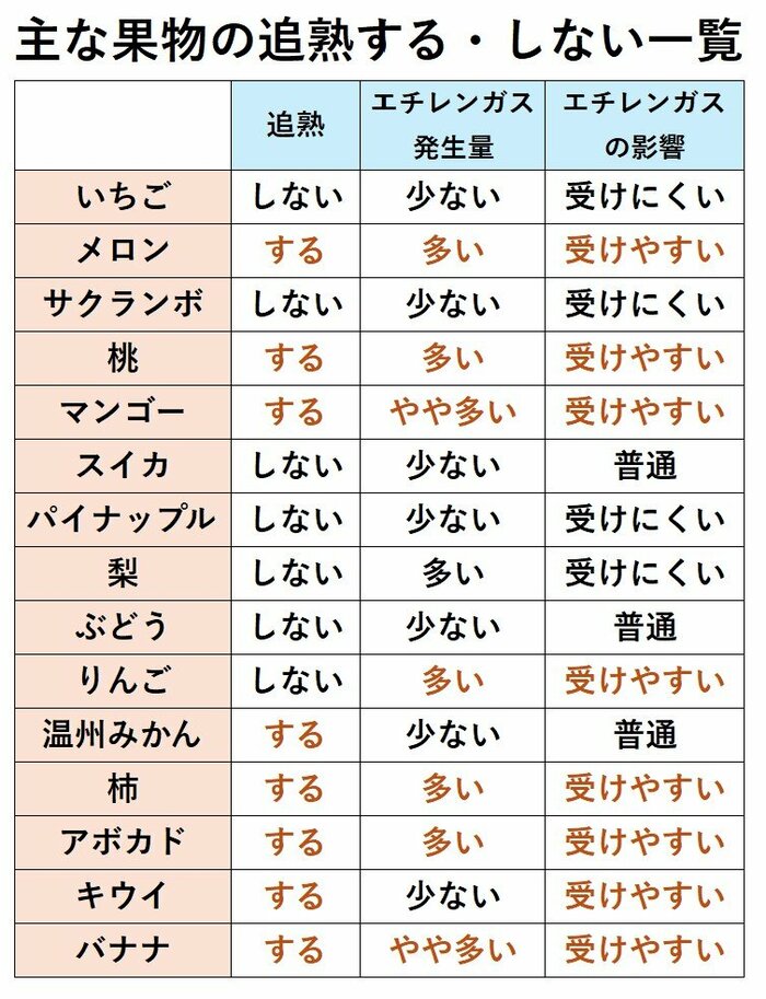特集班作成